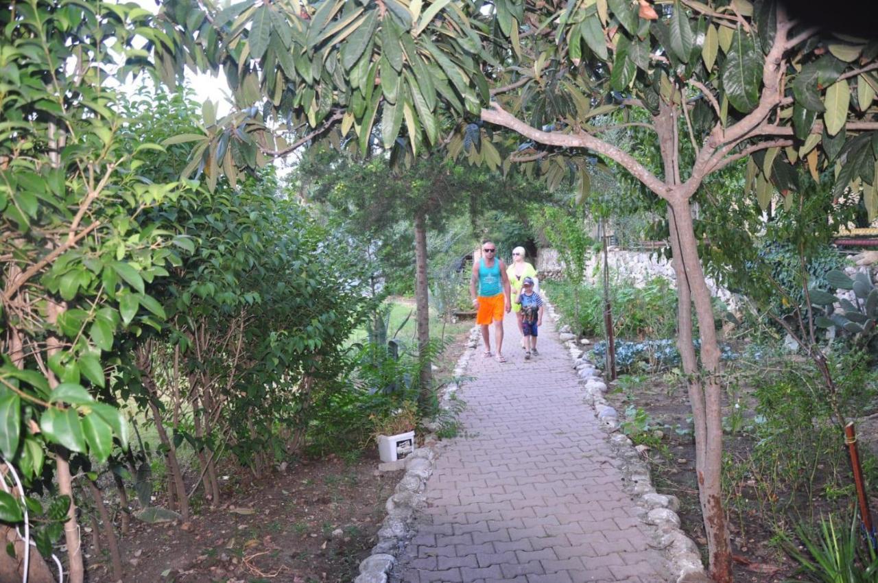 Anita Sunpark Beach Hotel Ağva Εξωτερικό φωτογραφία